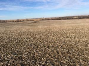 Us Hwy 71 N/A, Burlington Jct, MO 64428