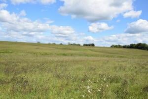 40238 State Hwy N N/A, Bolckow, MO 64427