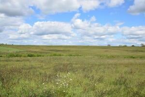 40238 State Hwy N N/A, Bolckow, MO 64427