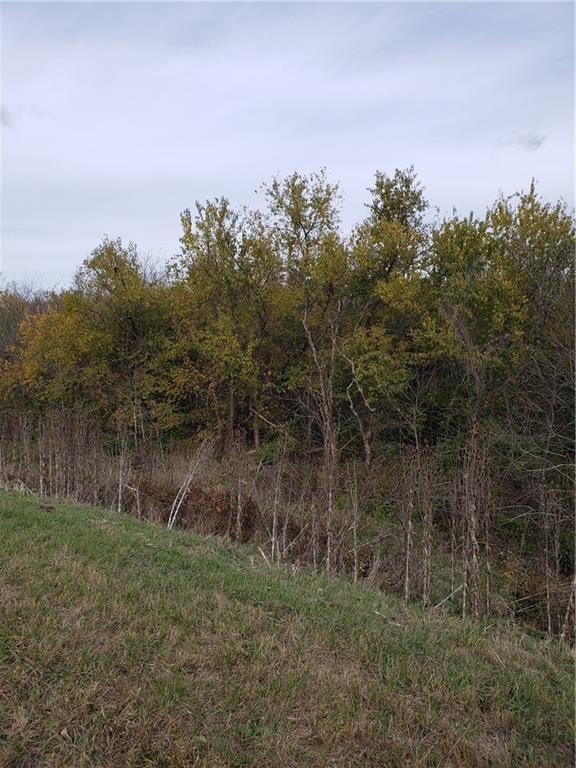 State Route 2 Hw, Cleveland, MO 64734