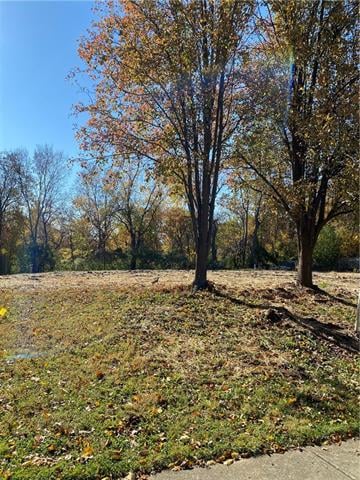 3800 NW Dogwood Dr, Blue Springs, MO 64015