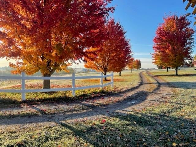 13935 Waterloo Rd, Wellington, MO 64097