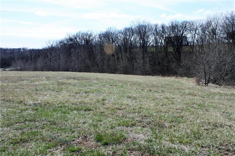 10000 Cypress Ave #LT 9, Kansas City, MO 64156