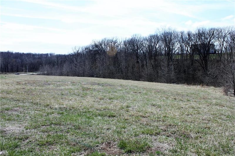 10000 Cypress Ave #LT 9, Kansas City, MO 64156