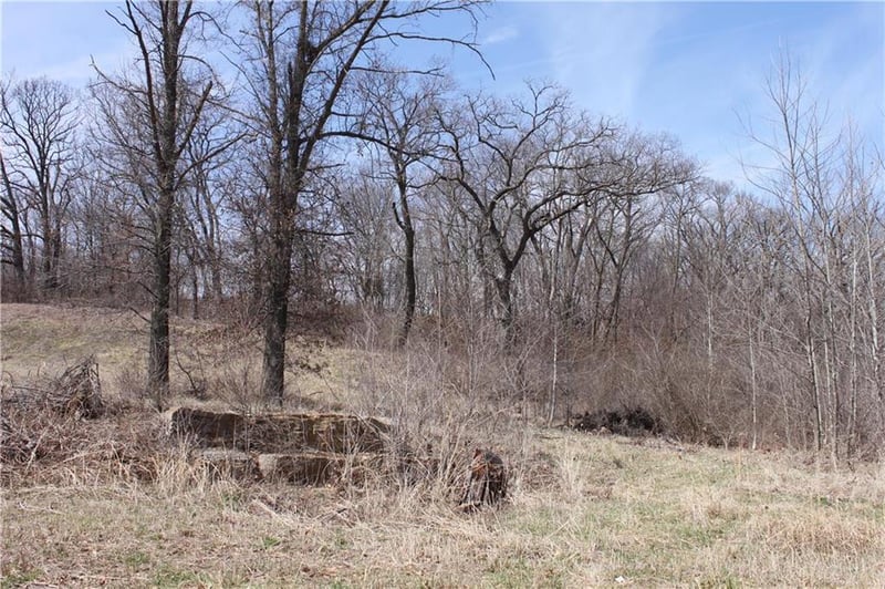 9900 Cypress Ave #LT 10, Kansas City, MO 64156