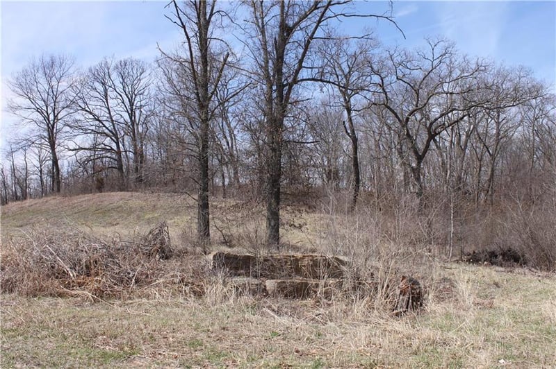 9900 Cypress Ave #LT 10, Kansas City, MO 64156