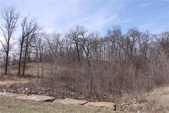 9900 Cypress Ave #LT 10, Kansas City, MO 64156