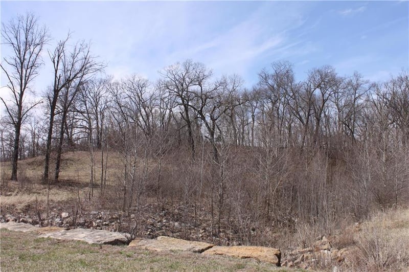 9900 Cypress Ave #LT 10, Kansas City, MO 64156