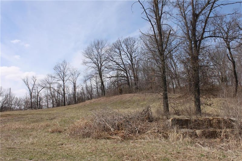 9900 Cypress Ave #LT 10, Kansas City, MO 64156