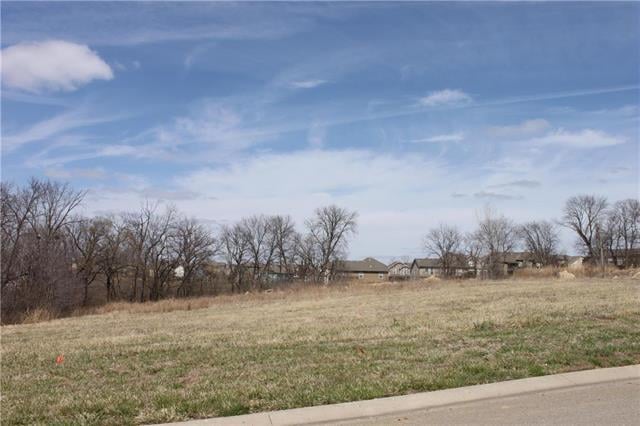 4505 NE 101st St #LT 5, Kansas City, MO 64156