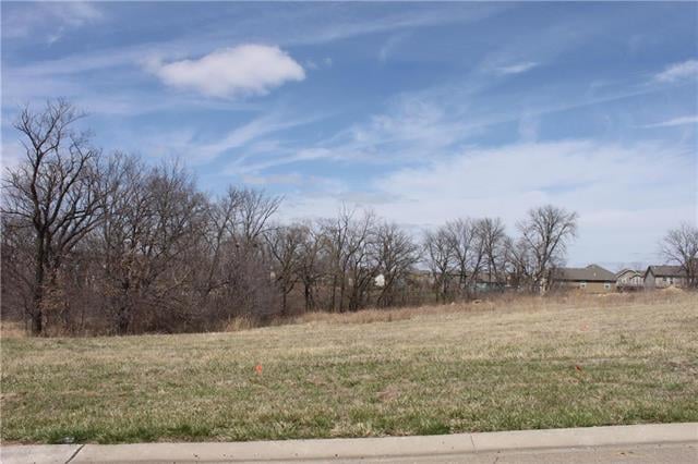 4505 NE 101st St #LT 5, Kansas City, MO 64156