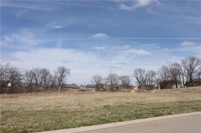 4505 NE 101st St #LT 5, Kansas City, MO 64156
