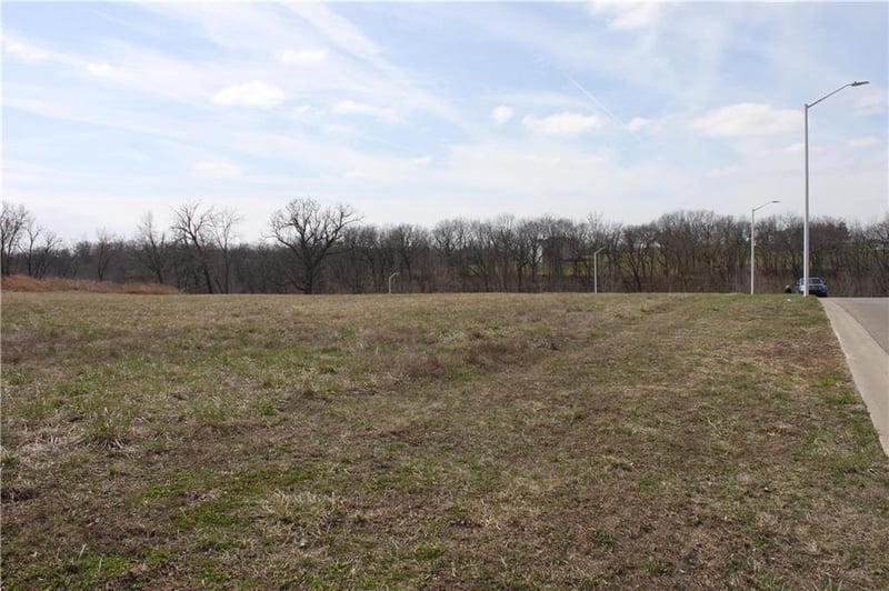 10008 Cypress Ave #LT 7, Kansas City, MO 64156