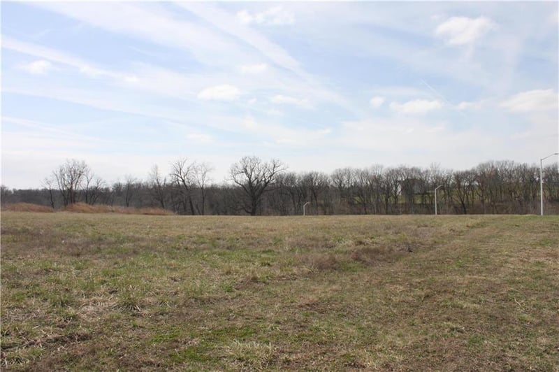 10008 Cypress Ave #LT 7, Kansas City, MO 64156