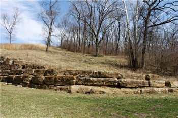 9905 Cypress Ave #LT 1, Kansas City, MO 64156