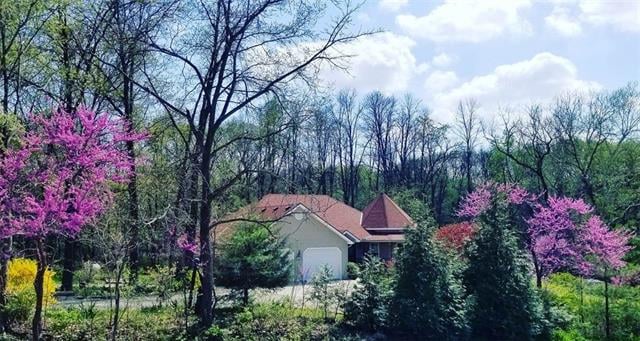 9863 SW 223rd St, Trimble, MO 64492