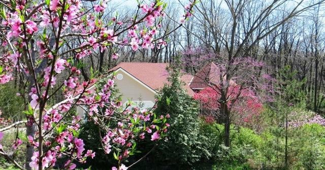 9863 SW 223rd St, Trimble, MO 64492