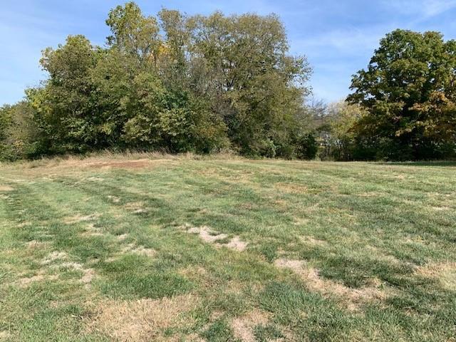 000 Twin Oaks Pw, Peculiar, MO 64078