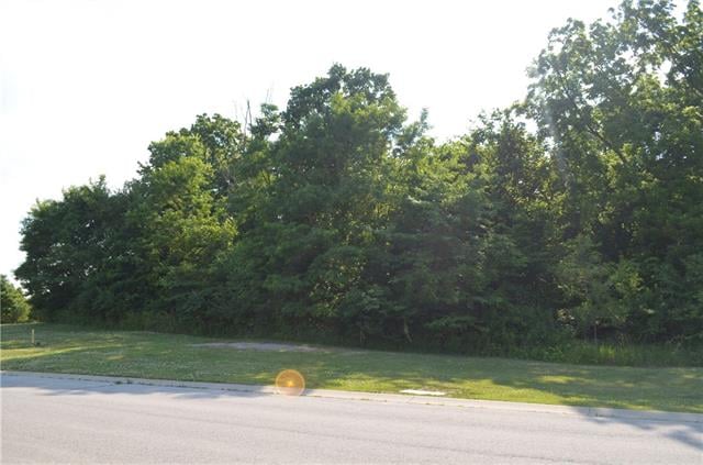 6836 Myrtle Ct, Gladstone, MO 64119