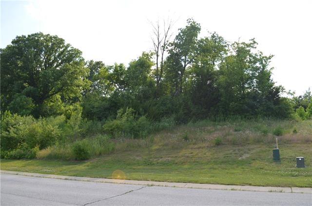 6918 Myrtle Ct, Gladstone, MO 64119