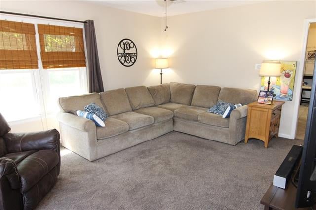 4830 Woodward St, Overland Park, KS 66203
