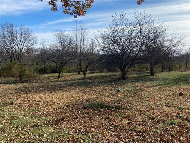 13600 M Highway 150 N/A, Kansas City, MO 64149