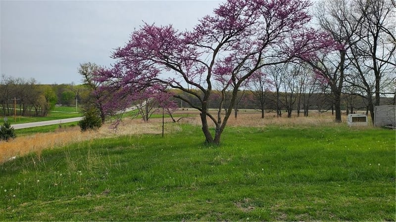 9255 Sw Hwy 6 Hw, Stewartsville, MO 64490