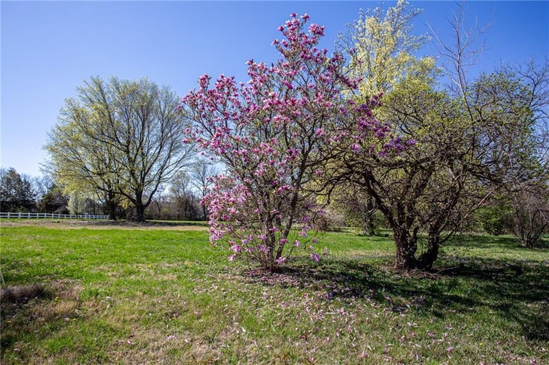 7101 W 191st St, Stilwell, KS 66085