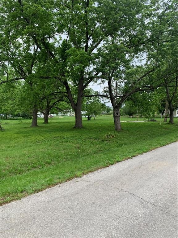 Main St, East Lynne, MO 64743