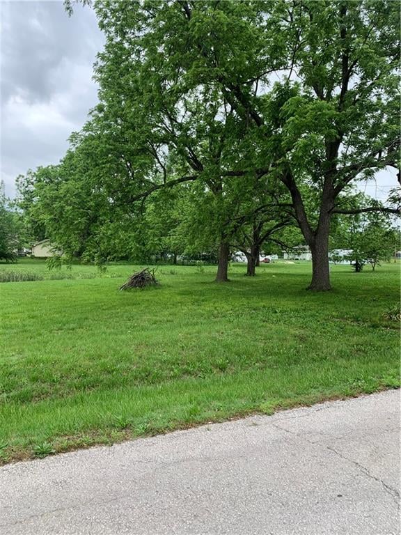 Main St, East Lynne, MO 64743