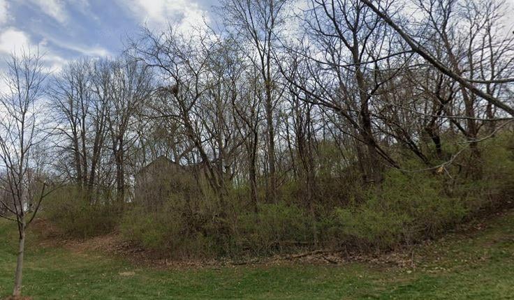 80 W 124th St, Kansas City, MO 64145