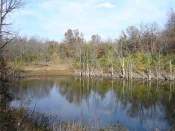 2900 119th St, Kansas City, MO 64137