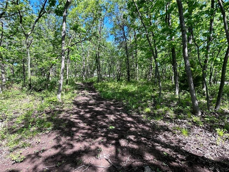 Tract A T St, Lake Lotawana, MO 64086
