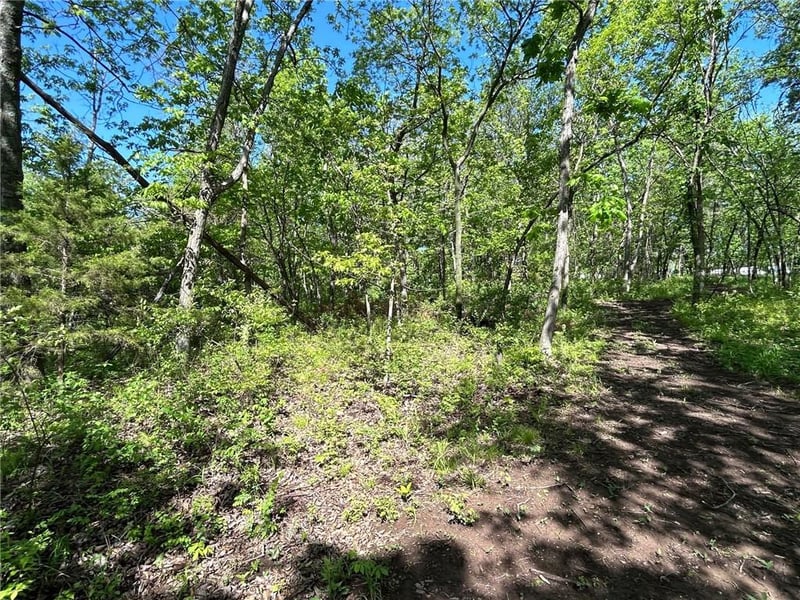 Tract A T St, Lake Lotawana, MO 64086