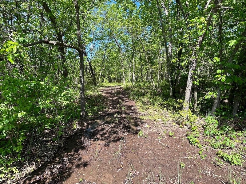 Tract A T St, Lake Lotawana, MO 64086