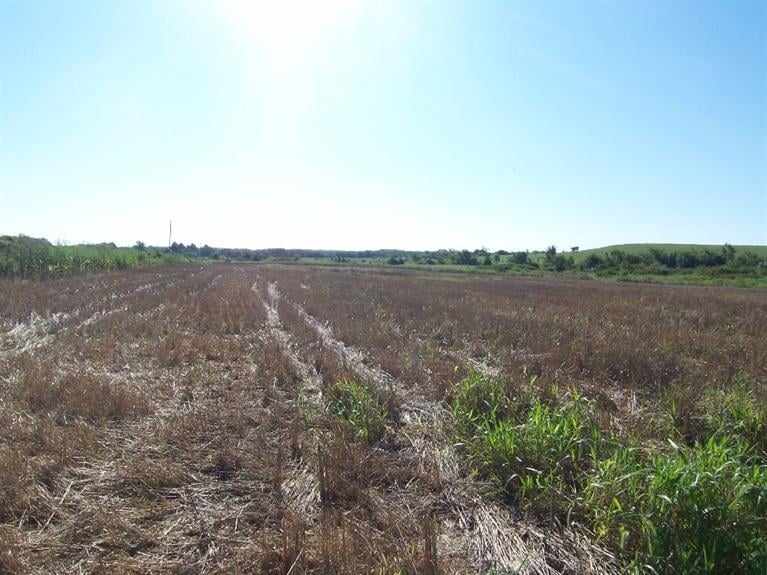 0 600 & Arthur Rd, Blue Mound, KS 66010