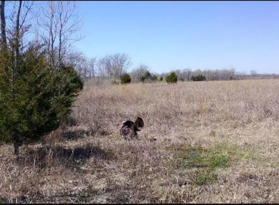 36707 Spring Valley Rd, Louisburg, KS 66053