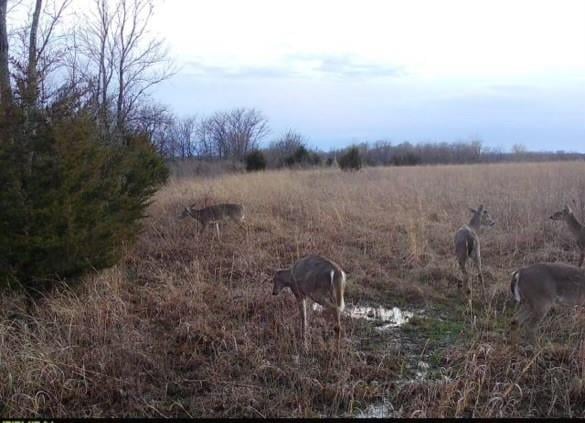 36707 Spring Valley Rd, Louisburg, KS 66053