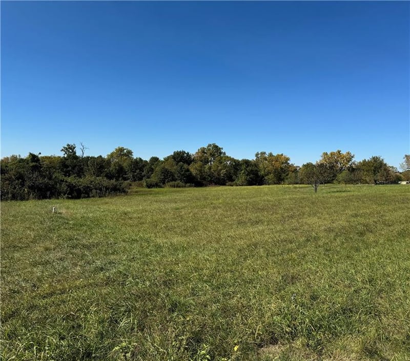 Tract 3 264th & Pulliam Rd, Lathrop, MO 64465