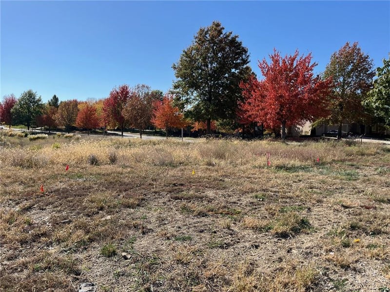 10115 Kansas Ct, Kansas City, MO 64155