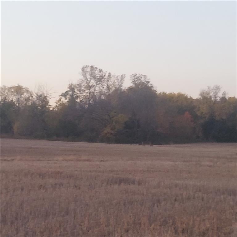 4-acres 315th St, Drexel, MO 64742