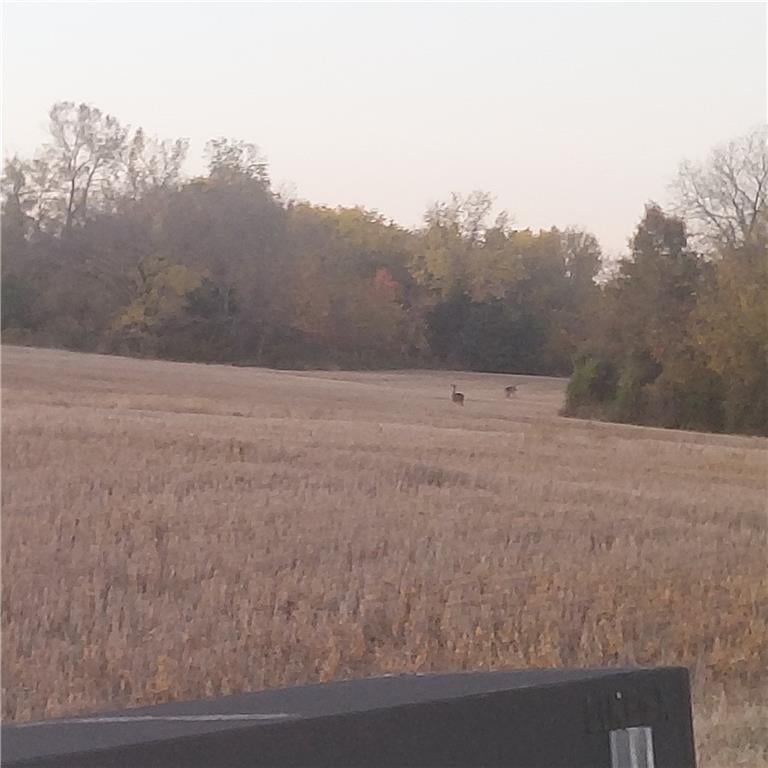 4-acres 315th St, Drexel, MO 64742