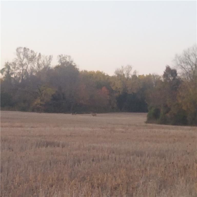 4-acres 315th St, Drexel, MO 64742