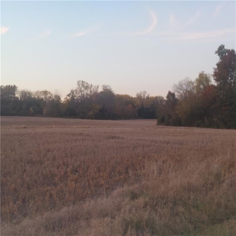 4-acres 315th St, Drexel, MO 64742