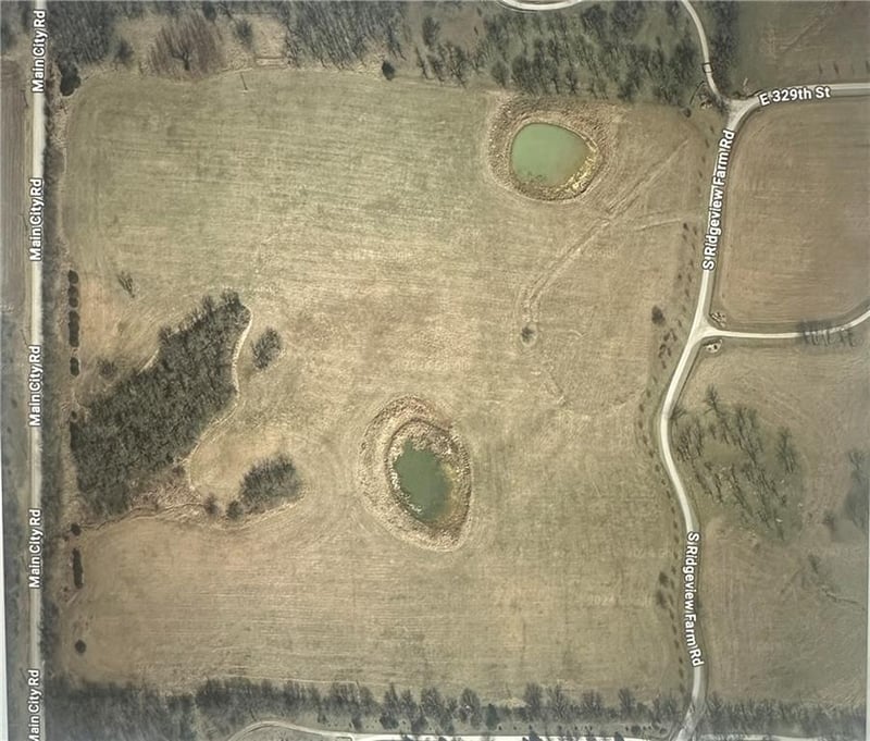 Tract D S Ridgeview Farms Rd, Drexel, MO 64742