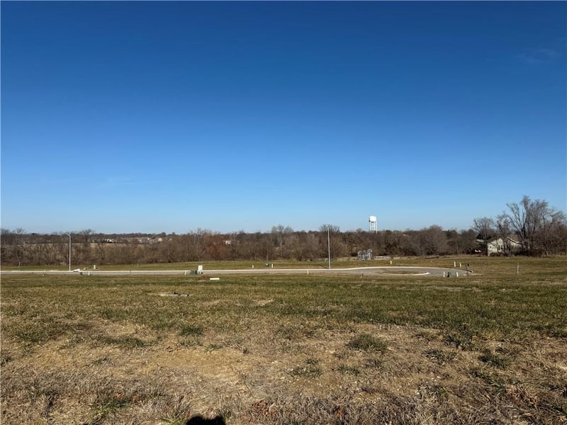 2214 Crestview Pl, Raymore, MO 64083