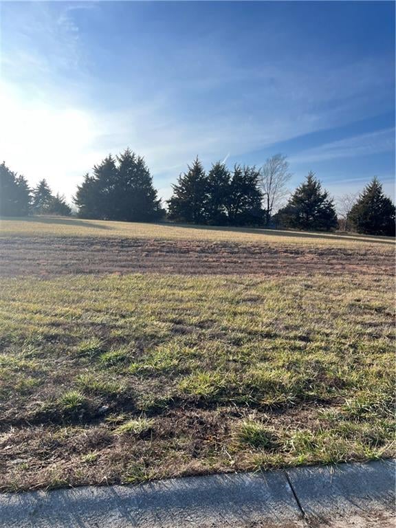 908 Captain Merriman N/A, Freeman, MO 64746