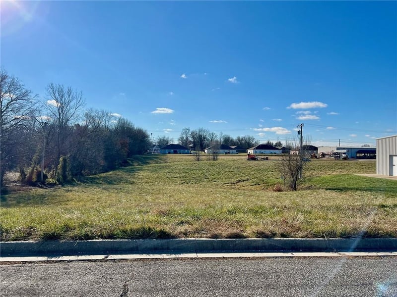 Lot 3 Park Ln, Odessa, MO 64076
