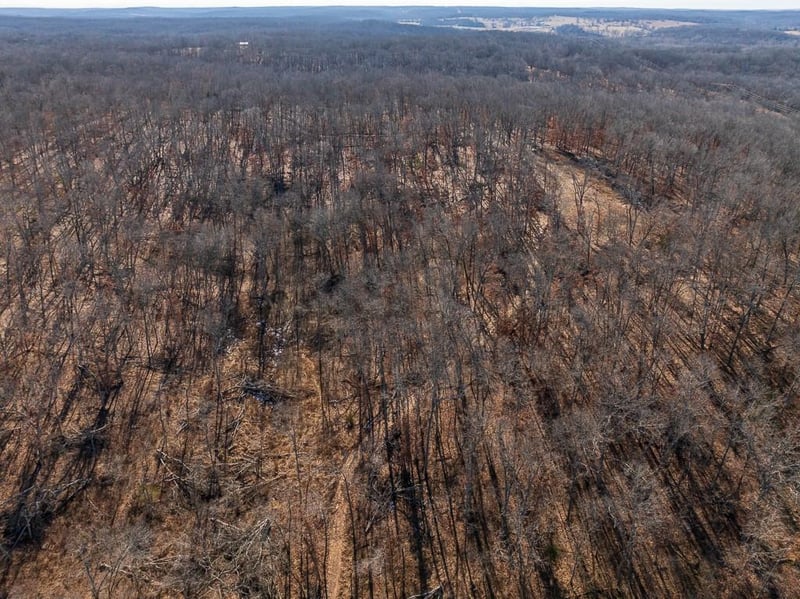 000 J Hw, Collins, MO 64738