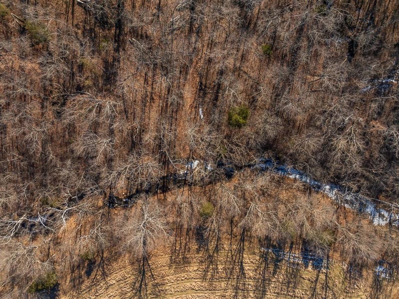 000 J Hw, Collins, MO 64738